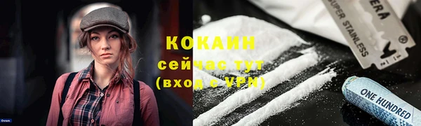 дурь Арсеньев