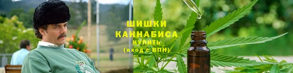 дурь Арсеньев
