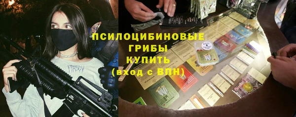 дурь Арсеньев